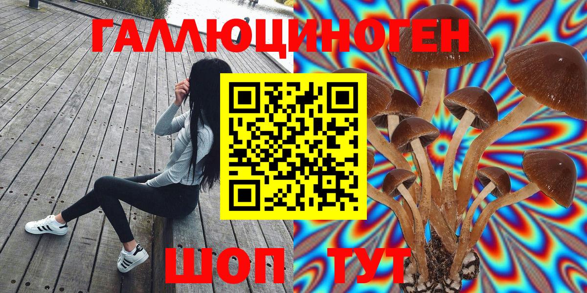 Псилоцибиновые грибы Psilocybine cubensis Азнакаево