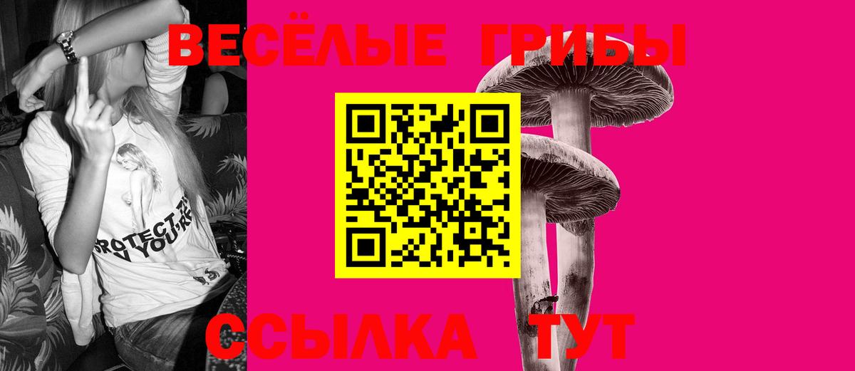 Псилоцибиновые грибы Magic Shrooms  Вход с VPN  Азнакаево  Псилоцибиновые грибы мухоморы 
